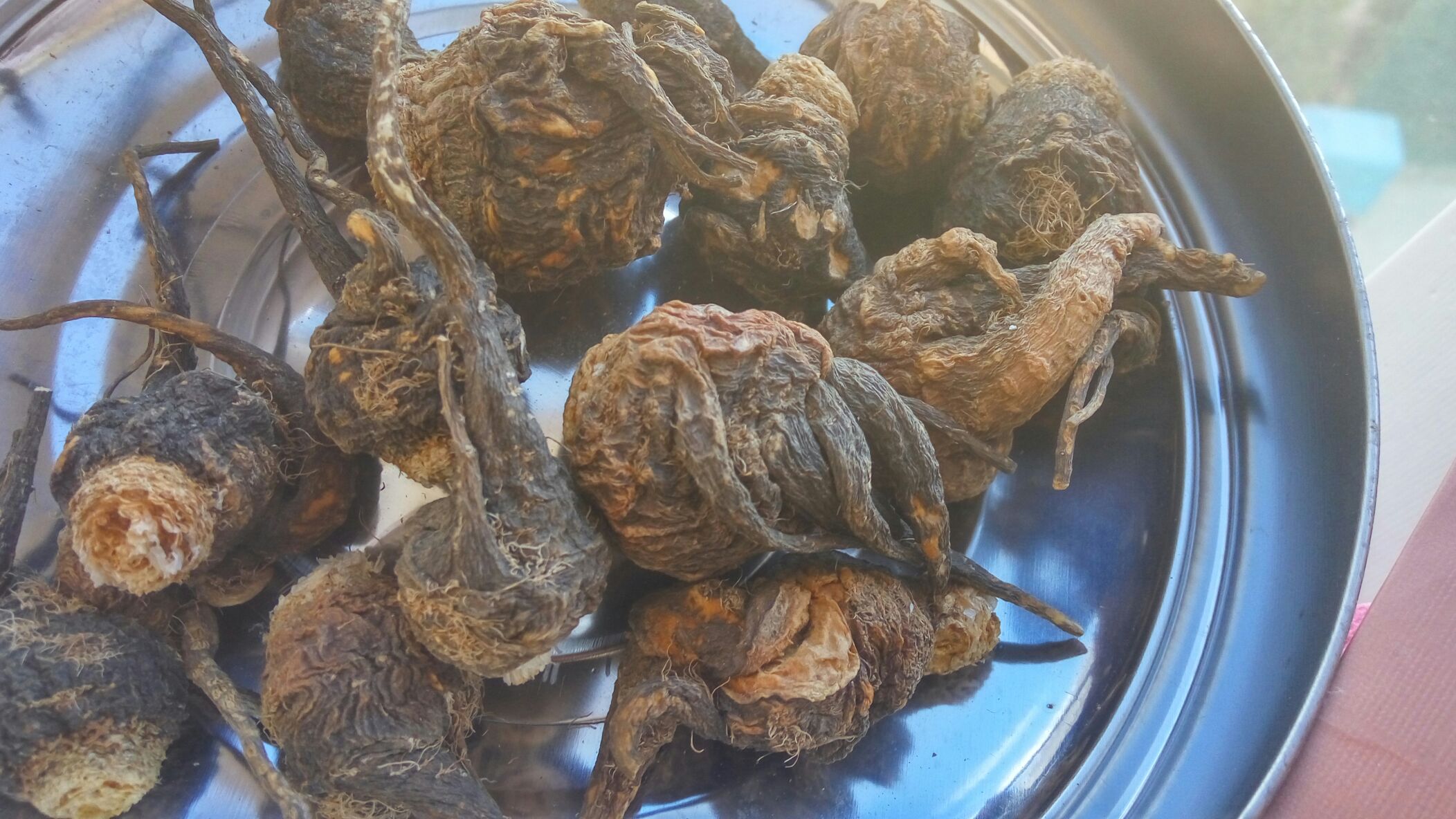 黑玛卡根茎特写