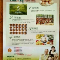 富硒贵妃鸡蛋食用50~60g