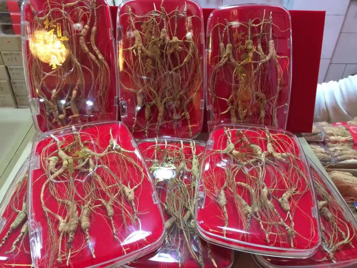 家庭冷藏保存示意图