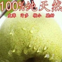 砀山梨550~600g纸箱