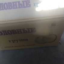 皇冠梨
