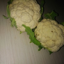 白花菜散装