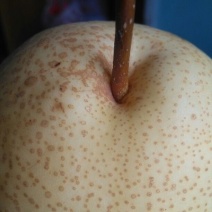 酥梨纸箱