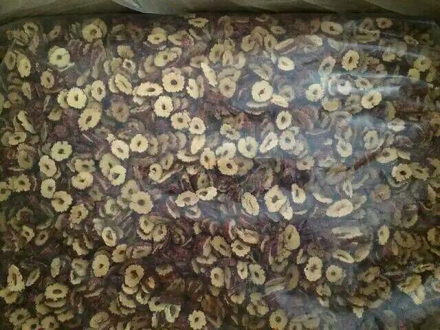 场景图：非遗枣艺传承人在古法晒场手持竹匾翻动枣圈，阳光斜照下，数十枚枣圈在竹匾中泛着温润光泽，部分枣圈表面清晰可见细腻的枣壳纹理与自然果霜；背景虚化处可见成排枣树与陶缸陈酿的枣醋