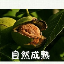 香玲核桃去皮干