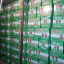 红香酥梨150~200g膜袋