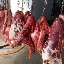 驴肉