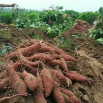臭豆腐包装