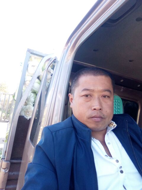 吉林长春市农安县水果萝卜产地详情