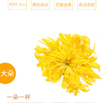 皇菊茶金丝皇菊5罐包邮直供超市