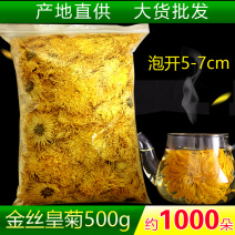 金丝皇菊茶去火佳品【包邮】