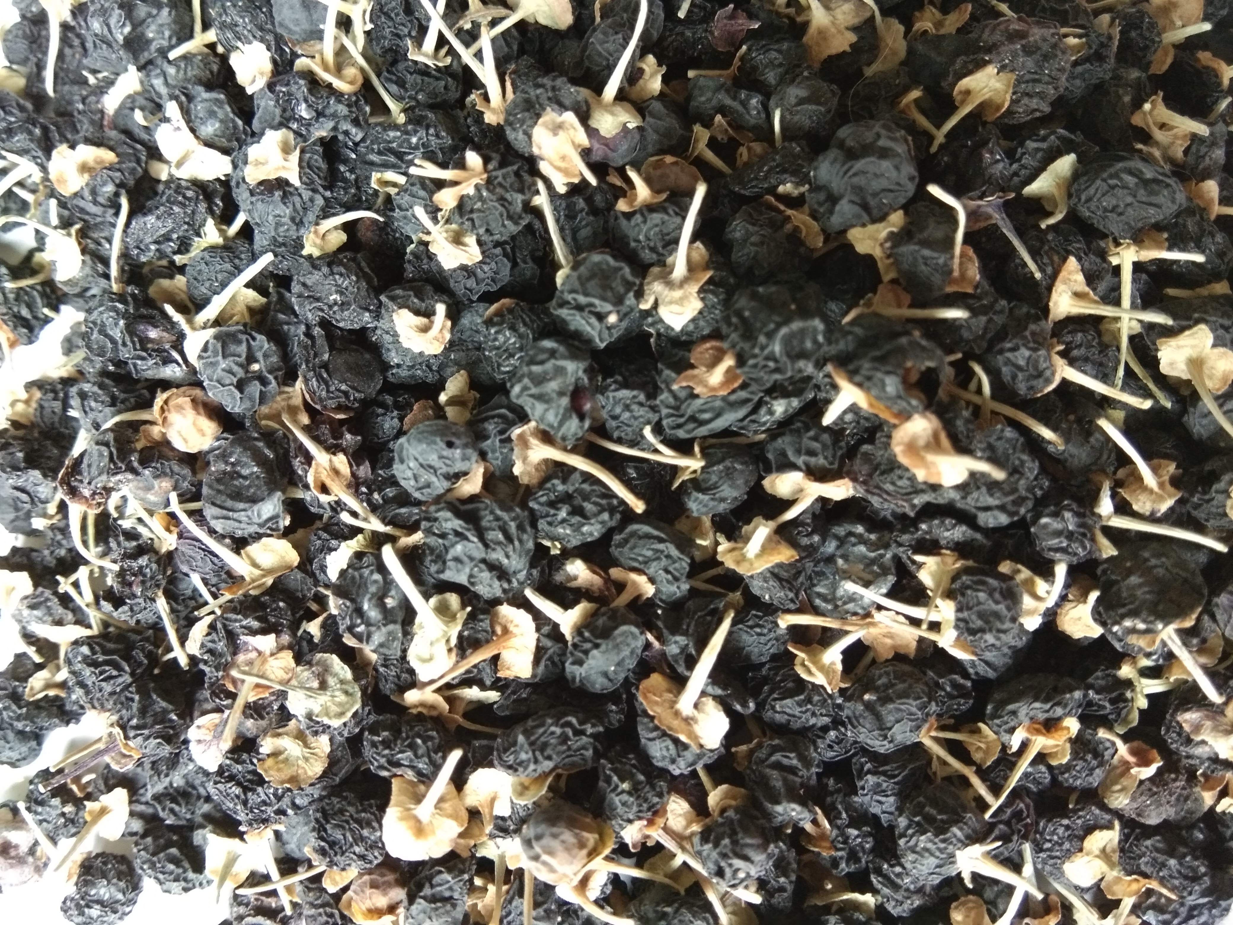 左侧为黑果枸杞植株,枝条带刺明显,叶片狭长;右侧为红果枸杞植株,枝条较柔韧,叶片宽卵形。背景为青海格尔木野生黑枸杞生长环境与宁夏中宁标准化种植基地对比场景 黑枸杞与红枸杞植株对比图