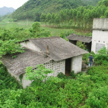贵港覃塘区樟木镇240亩旱地出租