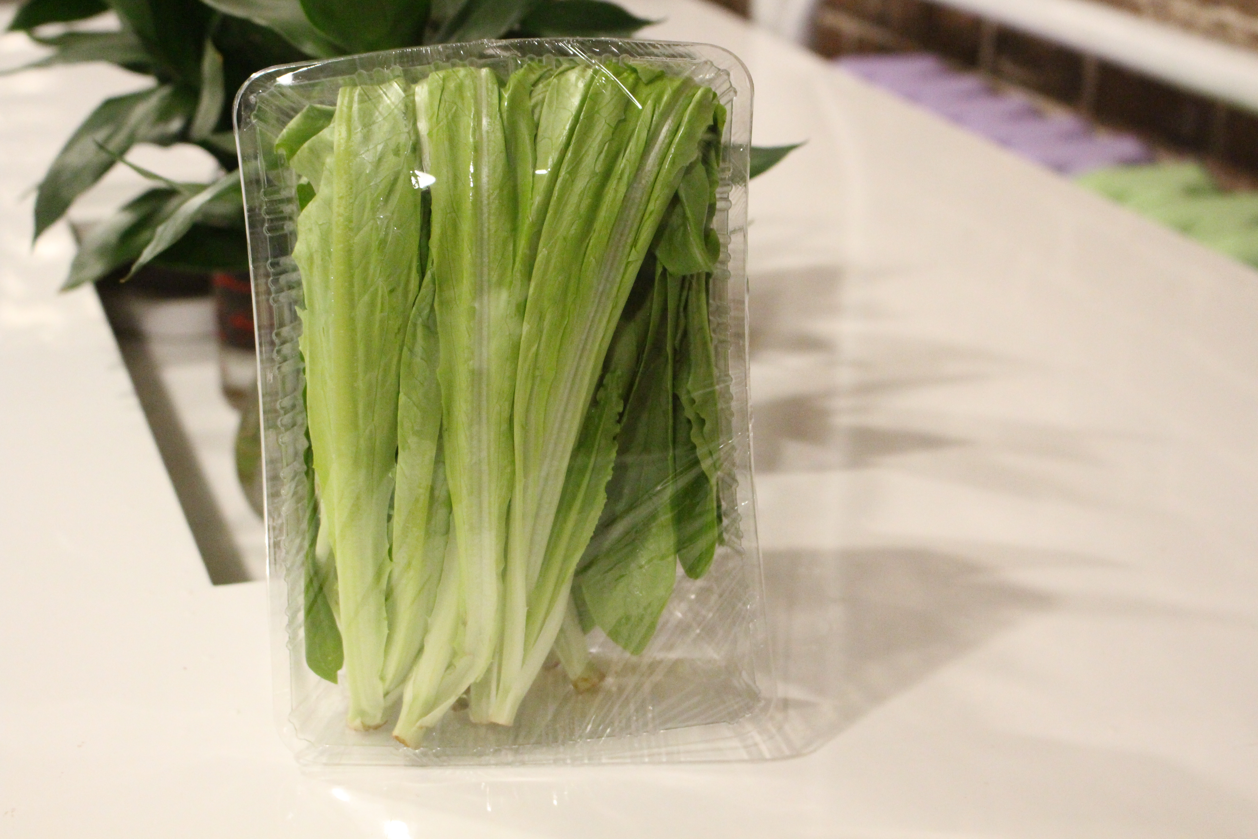 展示几种不同规格的预包装圆生菜产品,外包装上印有品牌LOGO和营养成分表 圆生菜预包装产品展示