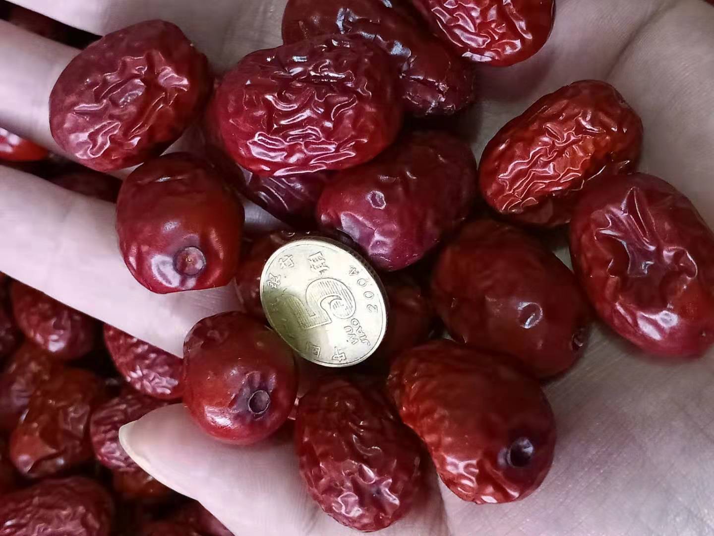 红梅果泡酒制作过程图