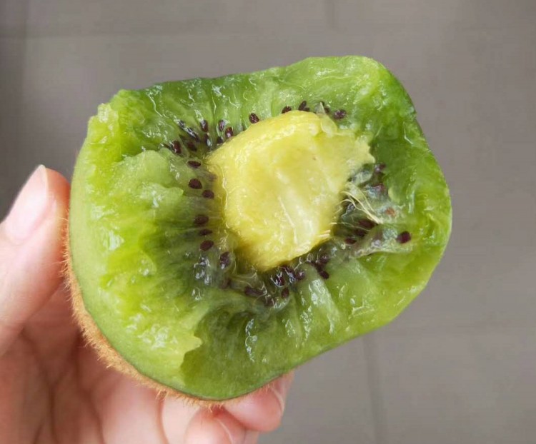 徐香猕猴桃坏果示意图