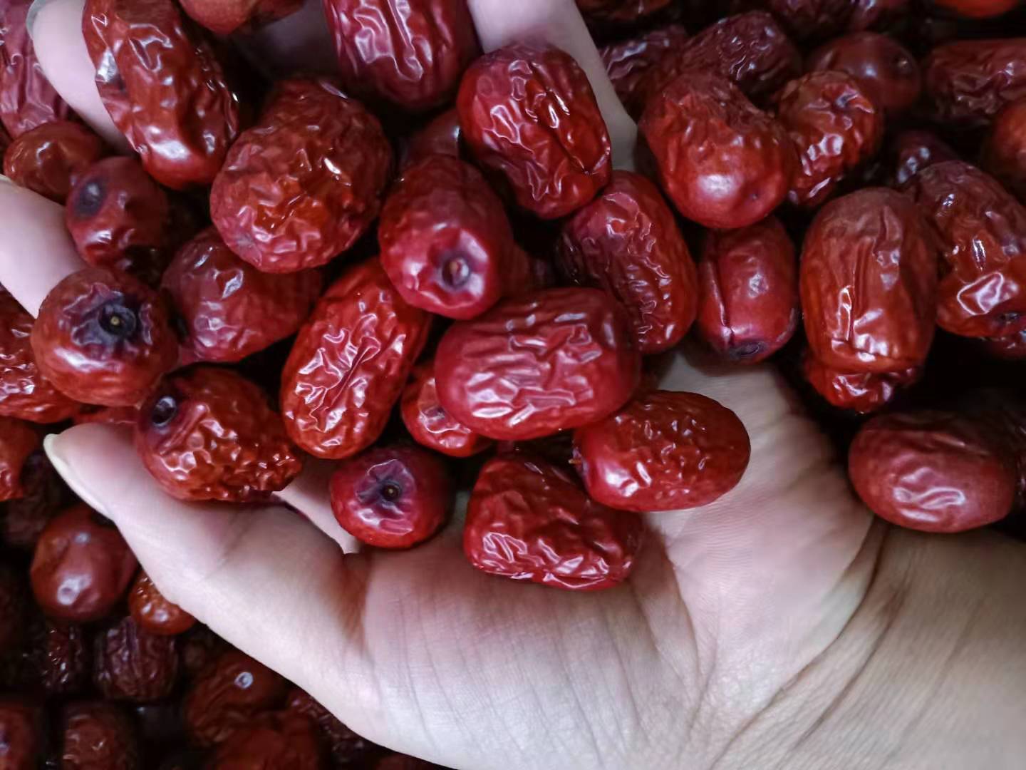 若羌灰枣与其他红枣对比图