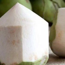 椰青【精品】海南