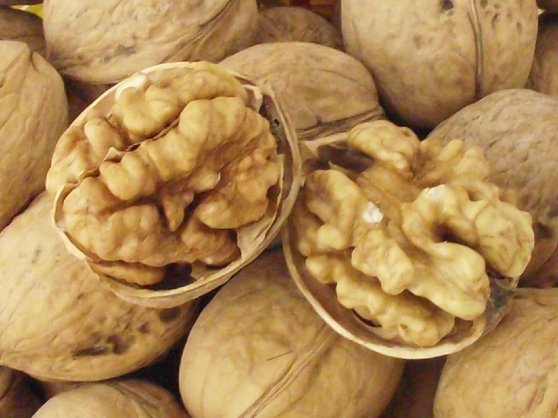 左侧为麻核桃,外壳厚重、纹路复杂、底部宽大,适合手掌把玩;右侧为纸皮核桃,外壳薄而均匀,裂缝清晰,易于手工剥开,露出完整果仁 麻核桃与纸皮核桃对比图
