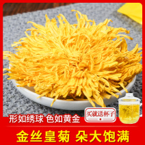 金丝皇菊一杯一朵