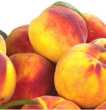 中桃金魁黄桃树苗,可以视频看货,支持线上保障交易