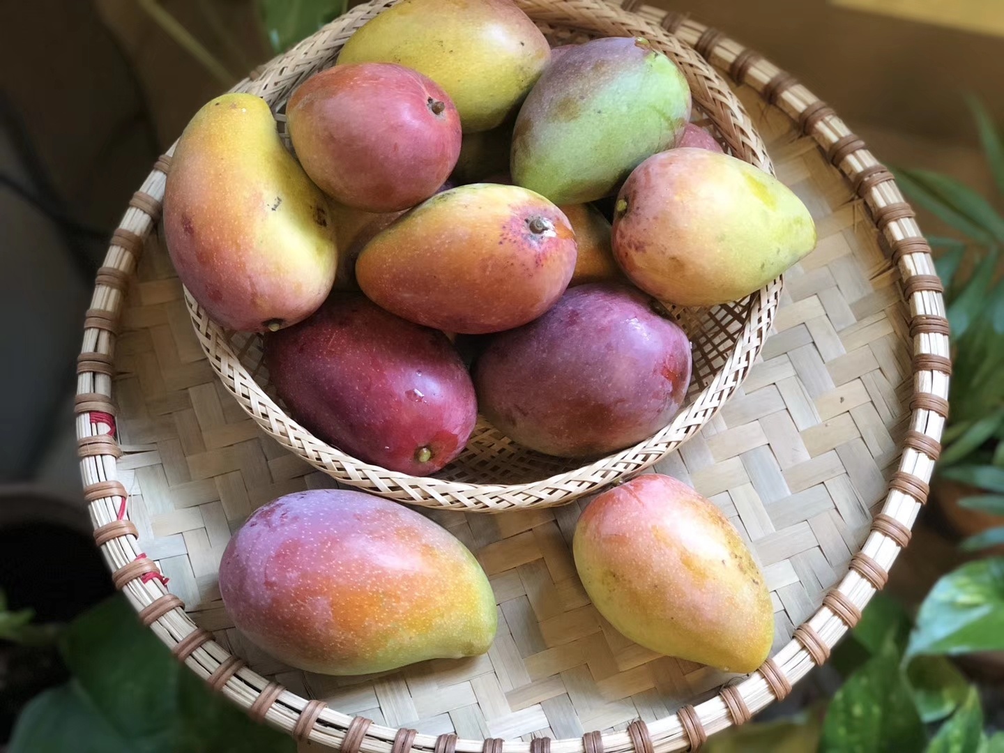 贵妃酥摆盘与搭配场景