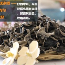 东北肉厚无根黑木耳干货黑木耳干秋木耳500g包邮