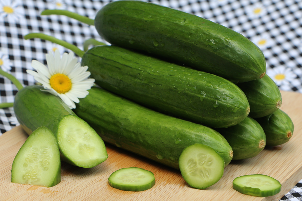 挑选新鲜小黄瓜