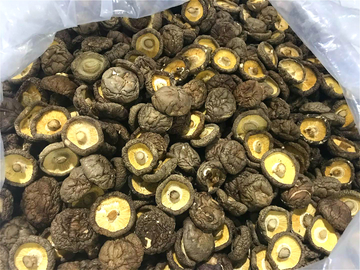 高清实拍图展示三种主要干香菇品类:左侧为优质花菇,表面有明显白色裂纹,肉质厚实;中间为厚菇,颜色深褐,伞盖完整;右侧为薄菇,片型较平,适合工业加工用途。背景为木质托盘,体现原生态质感 干香菇不同品类对比图