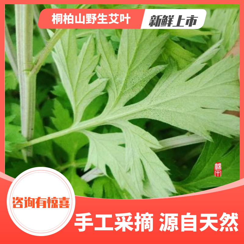 [生艾批发]湖北襄阳枣阳市艾叶 3.80元/斤桐柏山野生艾叶，叶 _ 一亩田