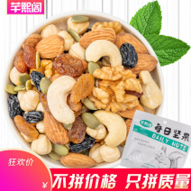 每日坚果混合坚果600克整箱高档礼盒装儿童孕妇营养零食