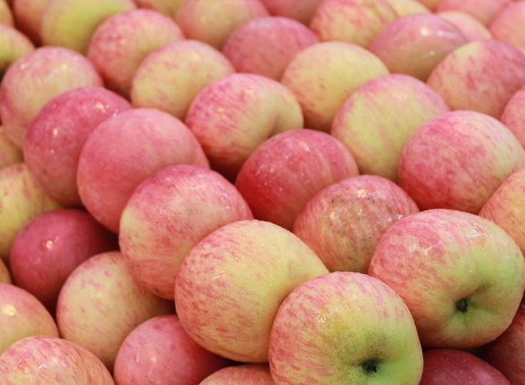 一颗新鲜的国光苹果,呈现出典型的扁圆形果形,果皮为黄绿色底色并带有自然红晕,果面光滑无损伤,果蒂完整附着于果顶,背景为浅木色桌面,光线柔和自然 国光苹果外观特写