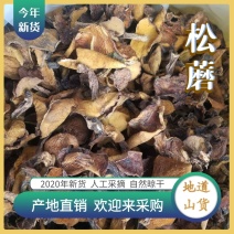 【地道土特产】松蘑今年新货产地直发欢迎订购