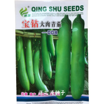 绿茄子种子青茄种子宝钻大肉青茄种子抗病高产春季秋季基地大