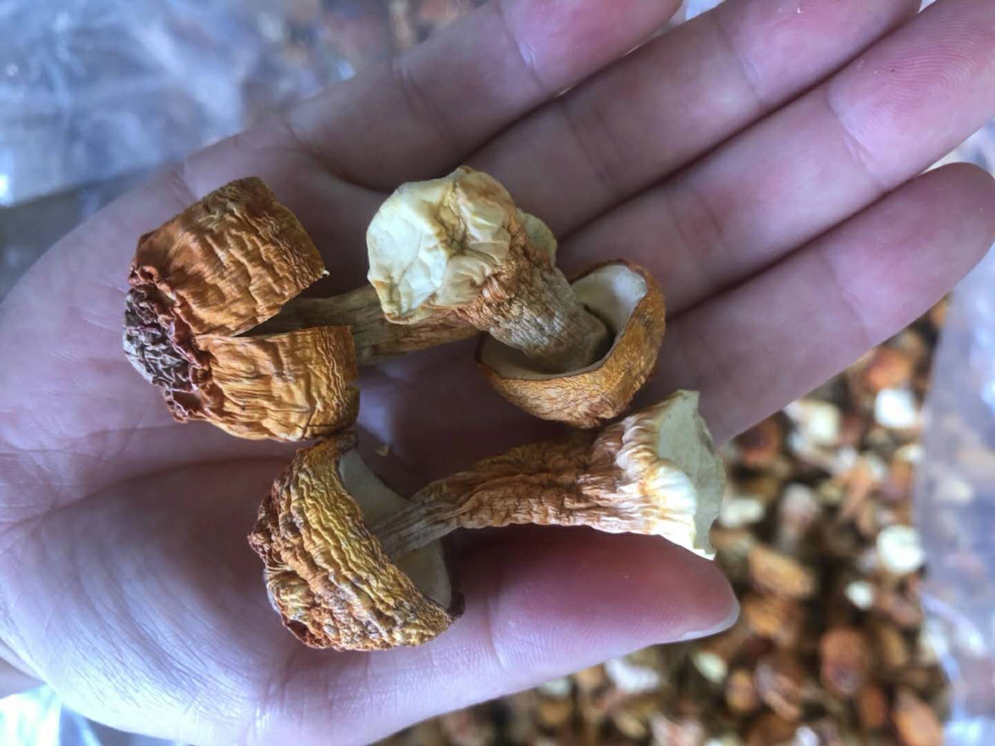 姬松茸与猪肉切片摆放整齐的烹饪图 姬松茸与猪肉切片摆放整齐的烹饪图