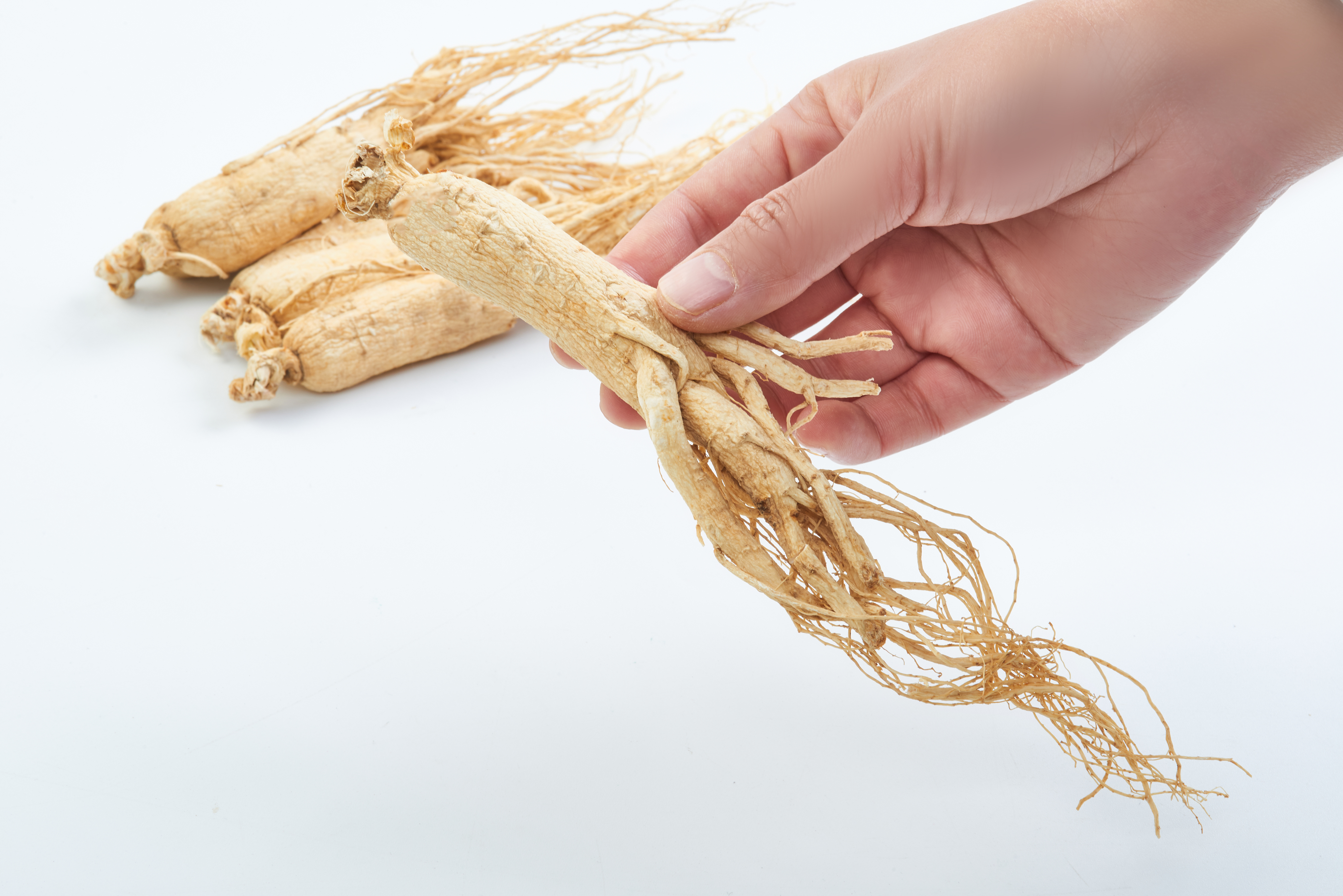 人参保存不当发霉