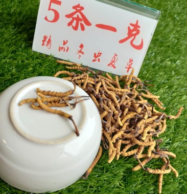 那曲野生冬虫夏草5条一克高海拔精选虫草礼盒装全国包邮