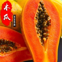 雷州冰糖红心木瓜3斤5斤10斤电商一件代发