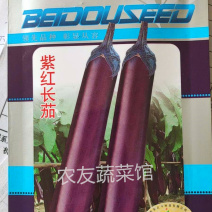 紫茄种子紫红长茄高产抗病耐热耐湿耐低温耐弱光中晚熟杂交茄
