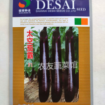 太空茄霸种子高产抗病耐热耐湿耐低温耐弱光中熟