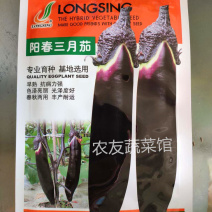 紫茄种子阳春三月茄高产抗病耐热耐湿耐低温耐弱光早熟优质茄