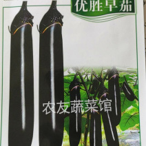 优胜早茄种子高产抗病耐热耐湿耐低温耐弱光早熟