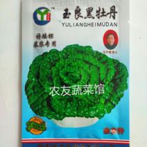 黑心乌种子玉良黑牡丹高产抗病耐寒耐贮春秋播优质乌塌菜种籽