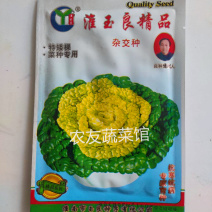 黄心乌种子玉良精品黄心菜高产抗病耐寒耐贮春秋播