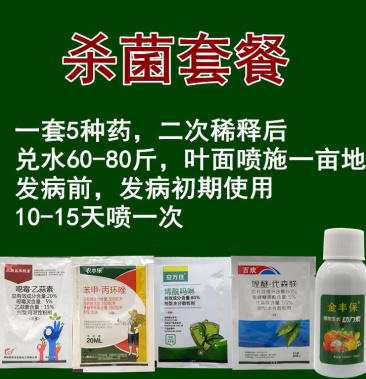 大蒜洋葱大葱韭菜干尖黄叶叶枯疫病黄疸红斑点锈病杀菌剂套餐