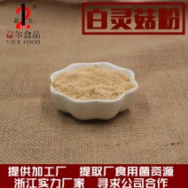 厂家直销白灵菇提取物白灵菇粉下脚料原料佐料辅料食