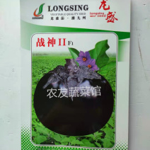 战神圆茄种子高产抗病耐热耐贮早熟春夏秋播
