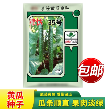 津优35黄瓜种子 20g 越冬早春密刺油亮黄瓜 耐低温弱