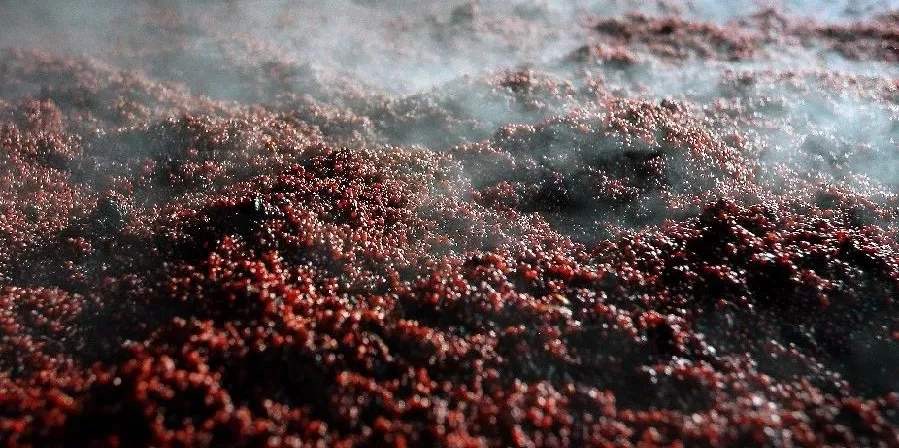 糯米皮蒸制过程图