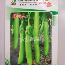 绿茄种子绿美人高产抗病耐热耐湿耐低温耐弱光早熟